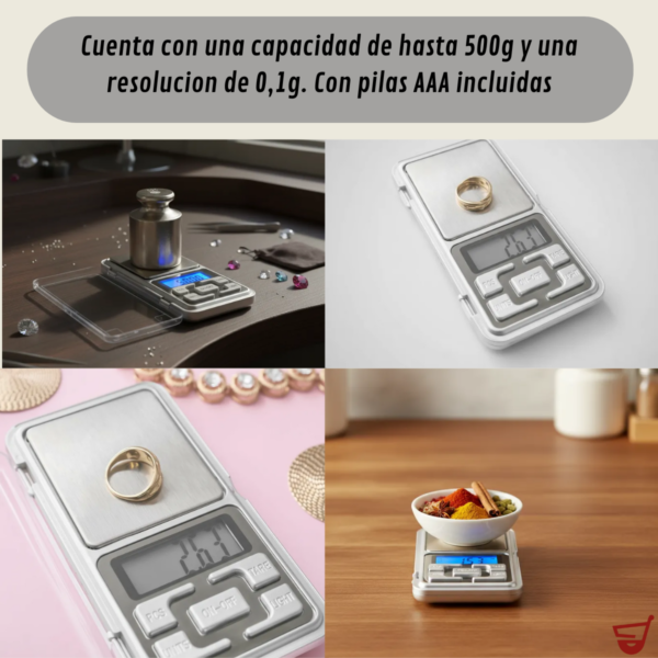 Balanza Precisión