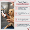 Lima Electrica Uñas Mascotas Perros Silenciosa Recargable Blanco Grande - Mediano - Chico
